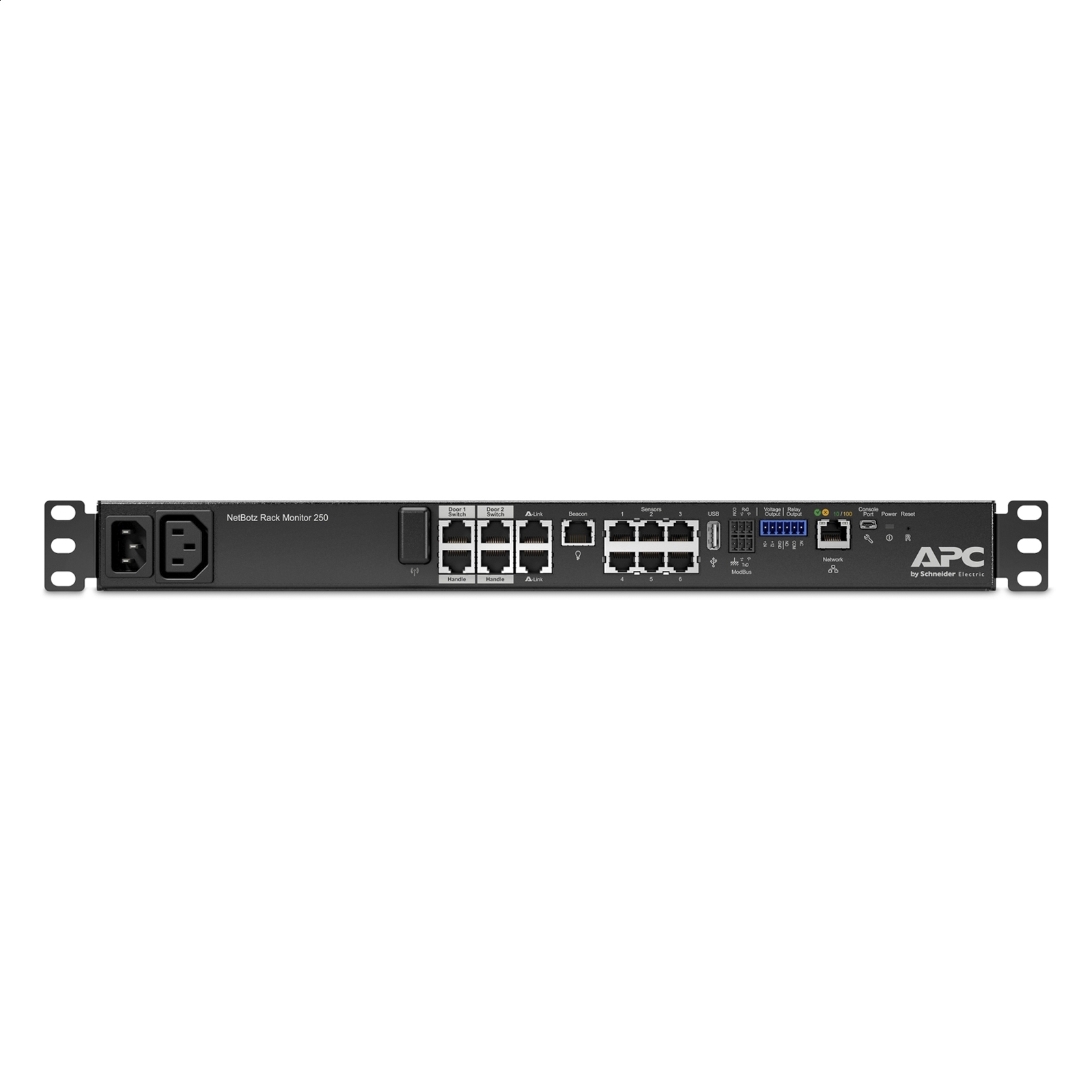 NetBotz Rack 250A